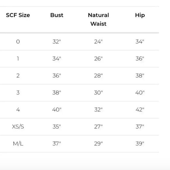 NWT Stone Cold Fox Bateau Neckline Floral Bell Sleeve Blouse Lace Bohemian - Picture 2 of 9